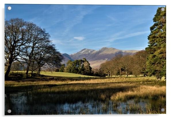 View of mountains from walk around Derwent Water,  Acrylic by Peter Wiseman