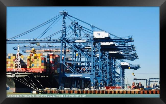 Container Docks Felixstowe Suffolk  Framed Print by Alexandra Rutherford