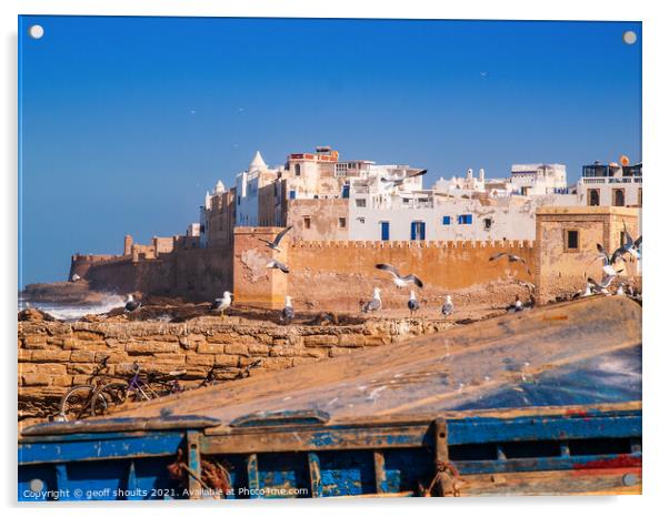 Essaouira Acrylic by geoff shoults
