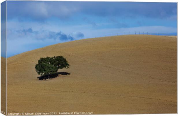 A lonely tree in Tuscany Canvas Print by Steven Dijkshoorn