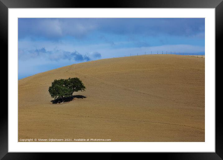 A lonely tree in Tuscany Framed Mounted Print by Steven Dijkshoorn