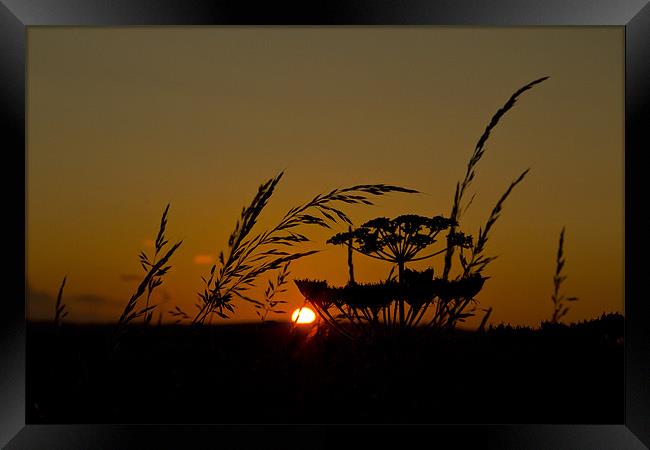 sunset silhouette Framed Print by Northeast Images