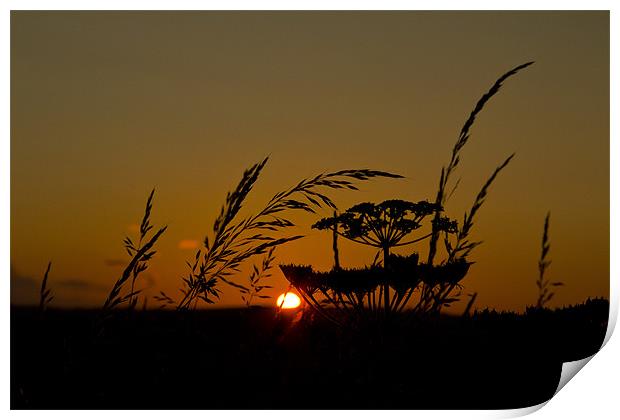 sunset silhouette Print by Northeast Images