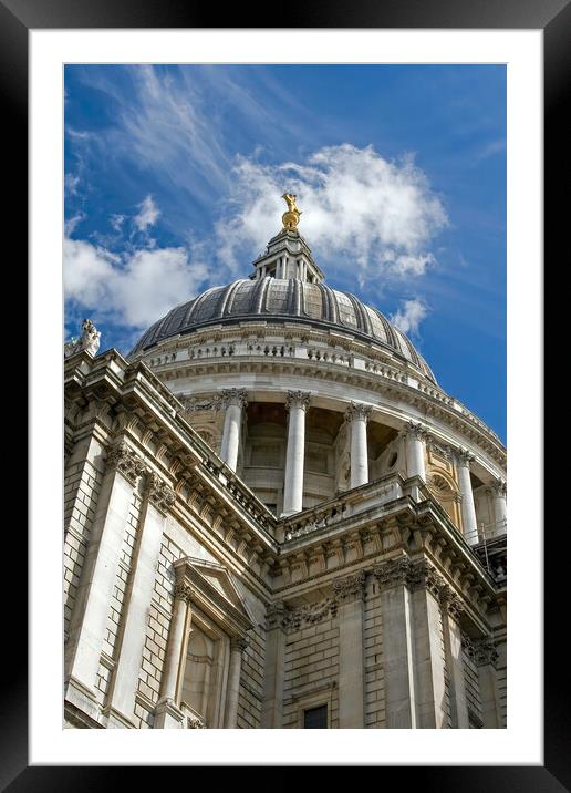 St Paul's cathedral Framed Mounted Print by tim miller