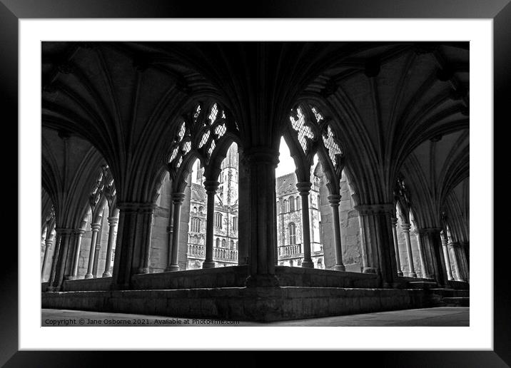 Norwich Cathedral Cloisters Framed Mounted Print by Jane Osborne