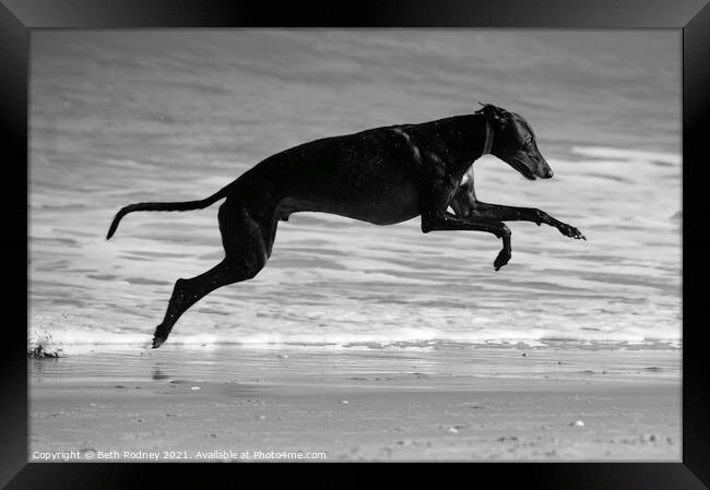 In Flight Framed Print by Beth Rodney