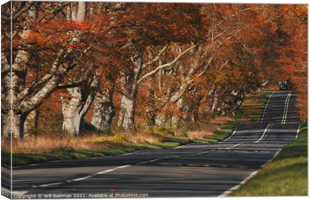 Autumn Road Canvas Print by Will Badman