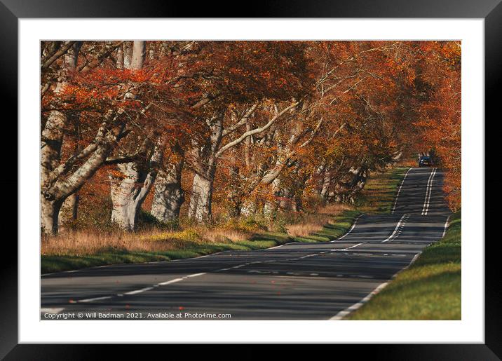 Autumn Road Framed Mounted Print by Will Badman