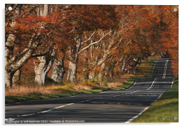 Autumn Road Acrylic by Will Badman