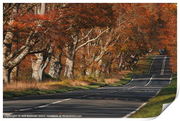 Autumn Road Print by Will Badman
