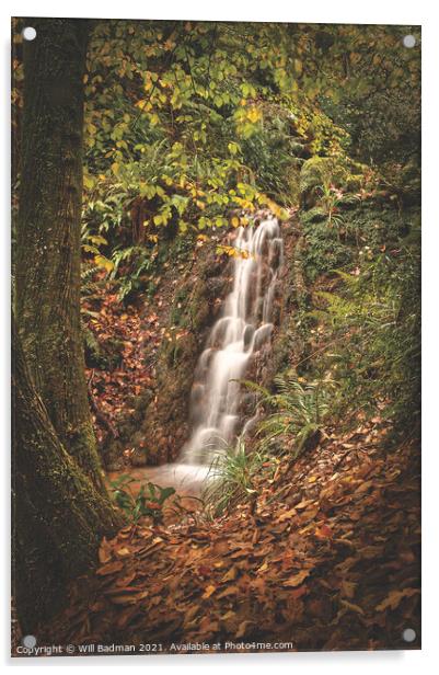 Ninesprings Waterfall  Acrylic by Will Badman