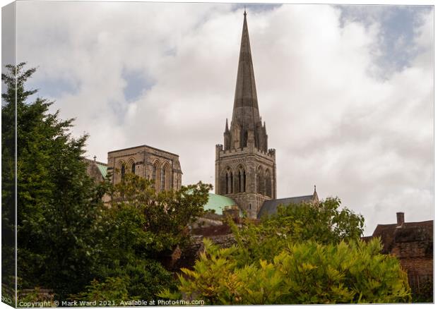 Chichester Cathedral  from the Bishops Palace Gardens. Canvas Print by Mark Ward