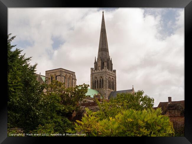 Chichester Cathedral  from the Bishops Palace Gardens. Framed Print by Mark Ward