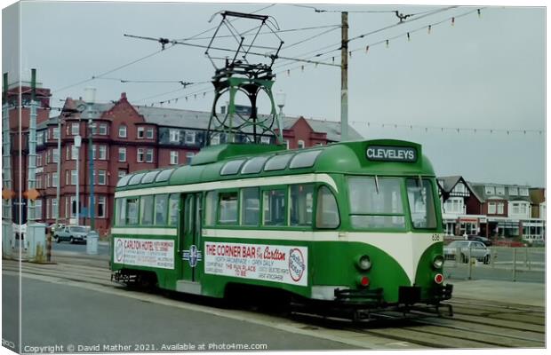Blackpool tram to Cleveleys Canvas Print by David Mather