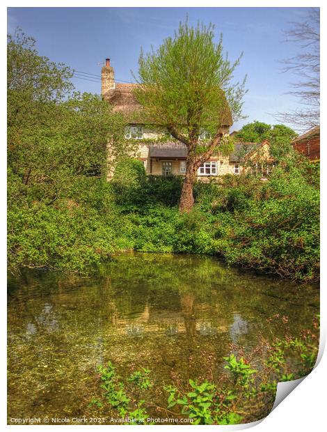 Enchanting Thatched Cottage by Wildlife Pond Print by Nicola Clark