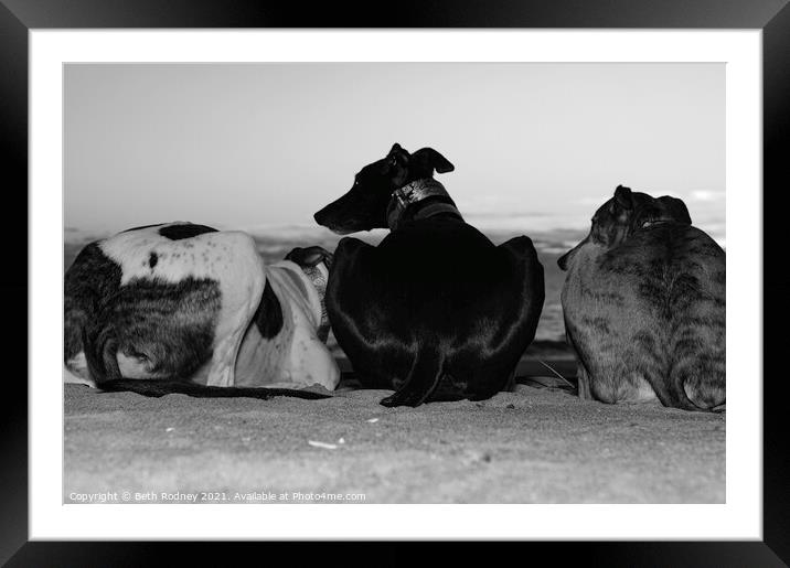 Greyhounds at the beach Framed Mounted Print by Beth Rodney