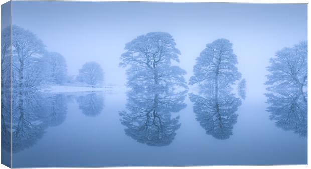 Snow Covered Tree Reflection Canvas Print by Phil Durkin DPAGB BPE4