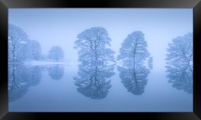 Snow Covered Tree Reflection Framed Print by Phil Durkin DPAGB BPE4
