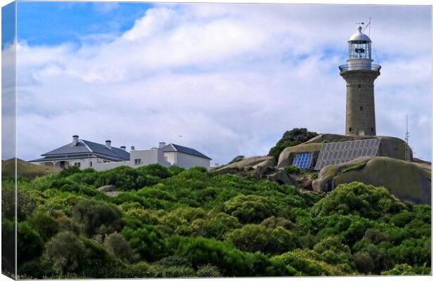 Montague Island Lighthouse - Australia 4 Canvas Print by Steven Ralser