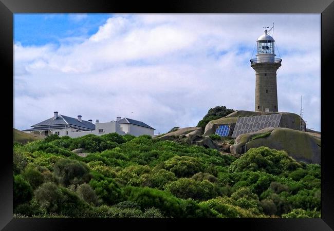 Montague Island Lighthouse - Australia 4 Framed Print by Steven Ralser