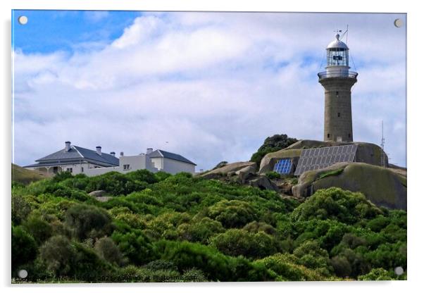 Montague Island Lighthouse - Australia 4 Acrylic by Steven Ralser