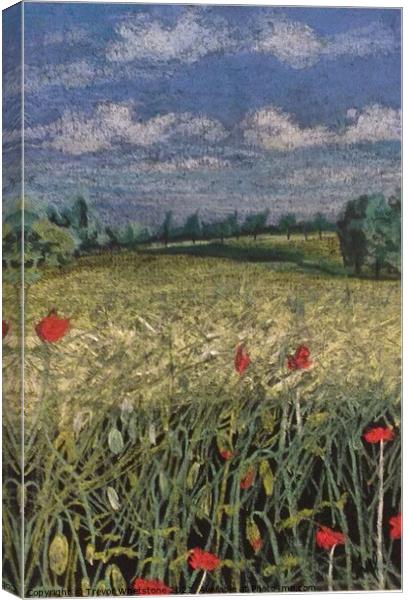 Poppies in the corn Canvas Print by Trevor Whetstone