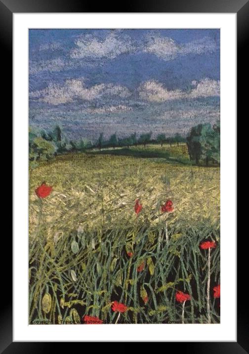 Poppies in the corn Framed Mounted Print by Trevor Whetstone