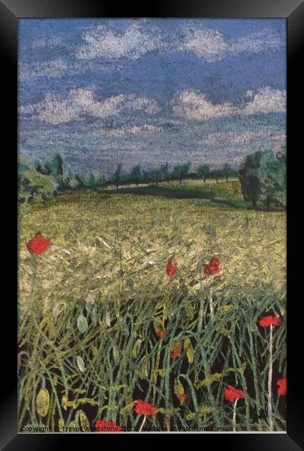 Poppies in the corn Framed Print by Trevor Whetstone