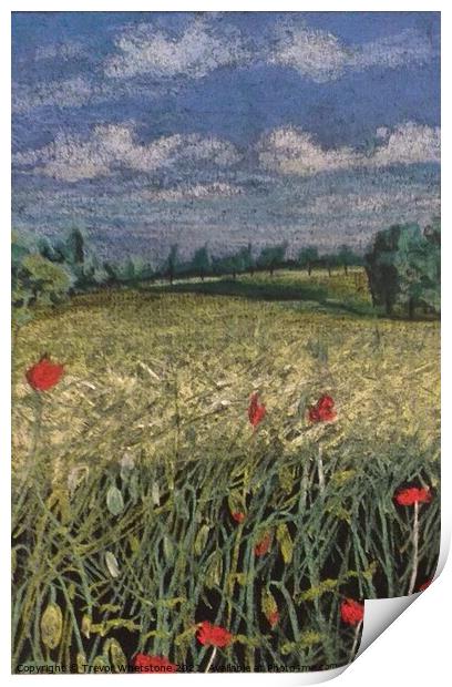 Poppies in the corn Print by Trevor Whetstone