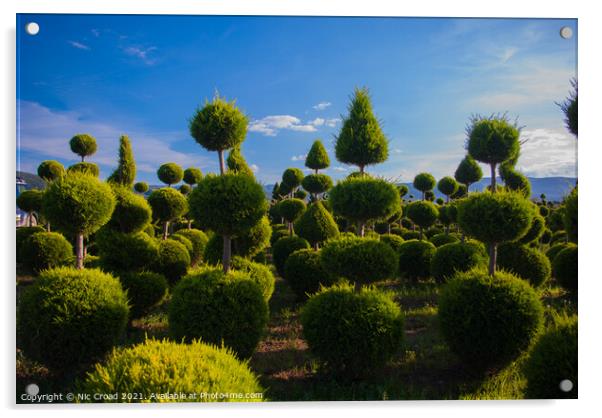 Topiary Acrylic by Nic Croad