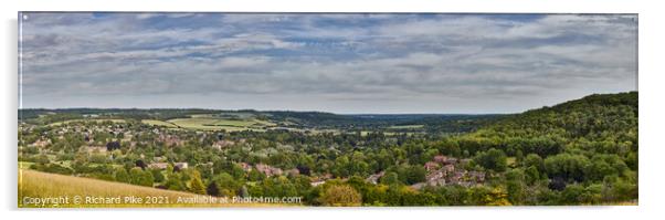 Goring and Streatley from Lardon Chase Acrylic by Richard Pike