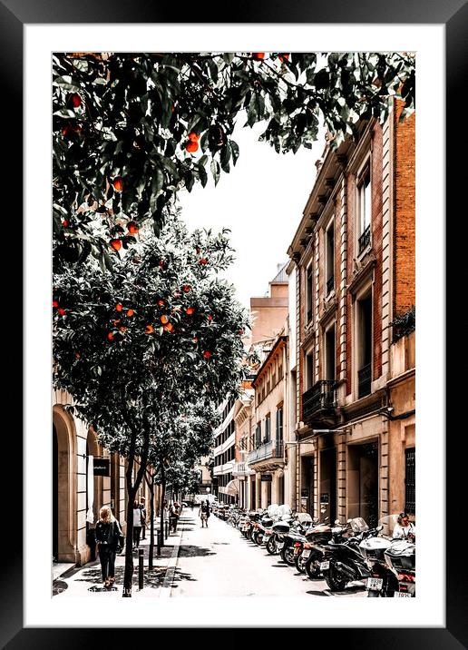 Barcelona City Street Print, Orange Fruit Trees Print Framed Mounted Print by Radu Bercan