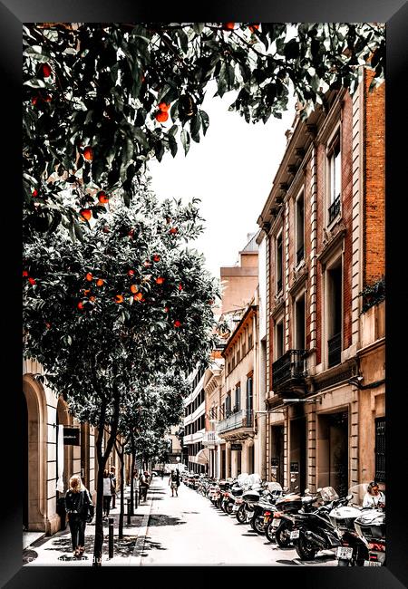 Barcelona City Street Print, Orange Fruit Trees Print Framed Print by Radu Bercan
