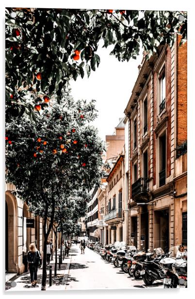 Barcelona City Street Print, Orange Fruit Trees Print Acrylic by Radu Bercan