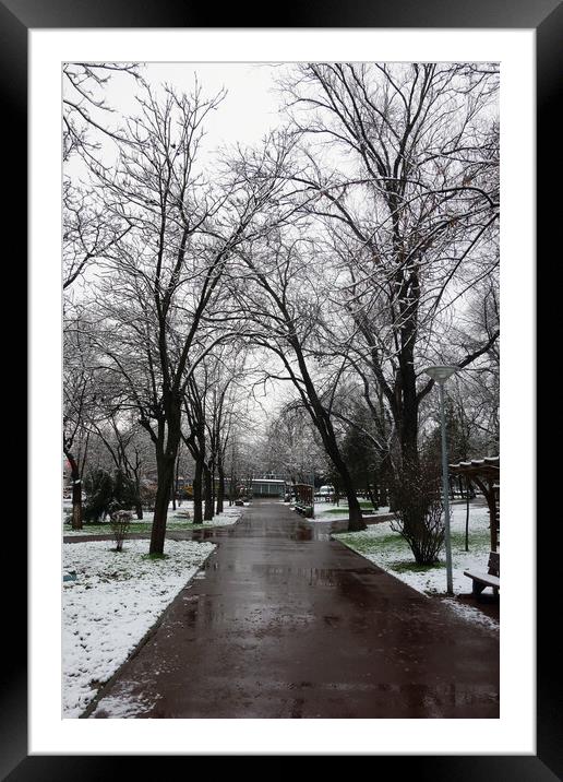 Winter in the city park  Framed Mounted Print by liviu iordache