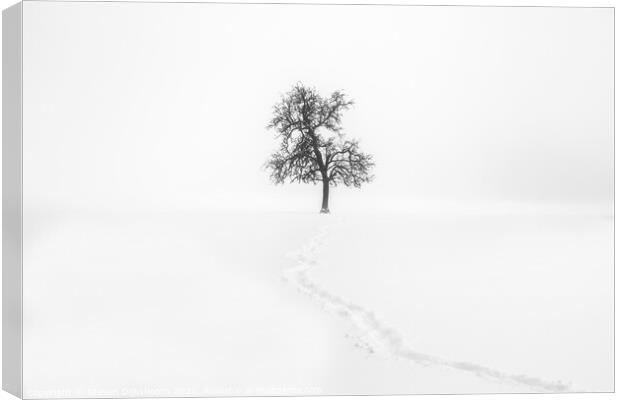 A lonely tree in the snow - Minimalism Landscape Canvas Print by Steven Dijkshoorn