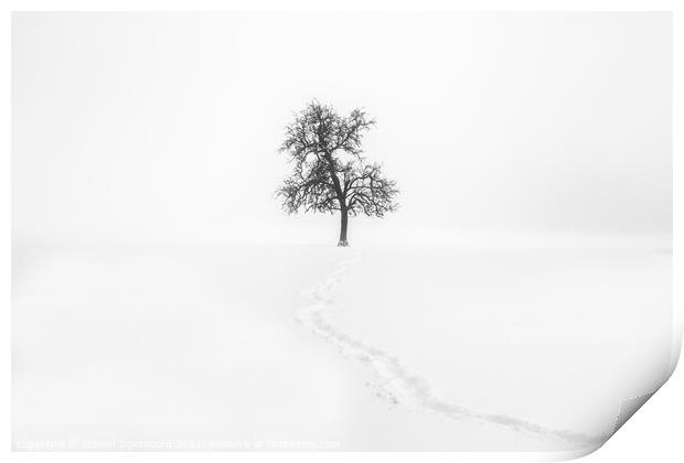 A lonely tree in the snow - Minimalism Landscape Print by Steven Dijkshoorn