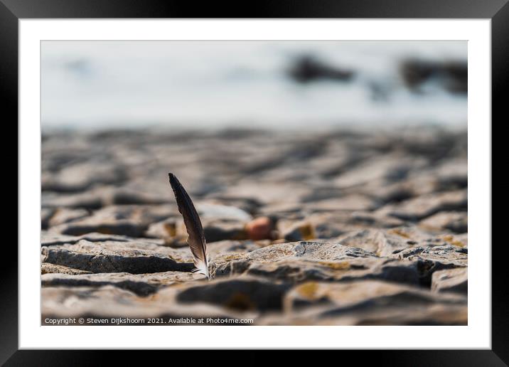 A feather between the rocks on the beach Framed Mounted Print by Steven Dijkshoorn