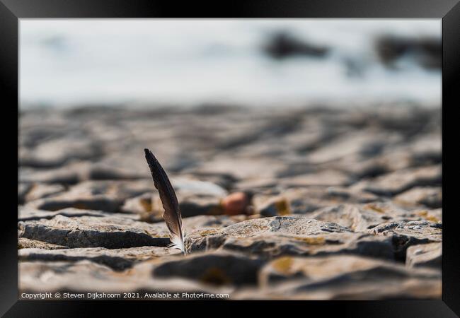 A feather between the rocks on the beach Framed Print by Steven Dijkshoorn