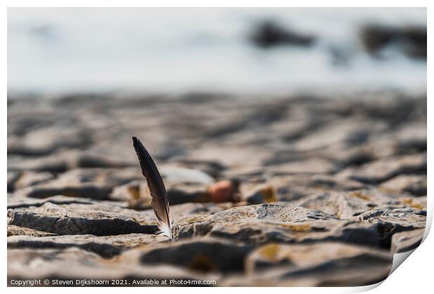 A feather between the rocks on the beach Print by Steven Dijkshoorn