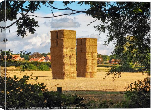 Two Tall Haystacks Canvas Print by Angela Cottingham