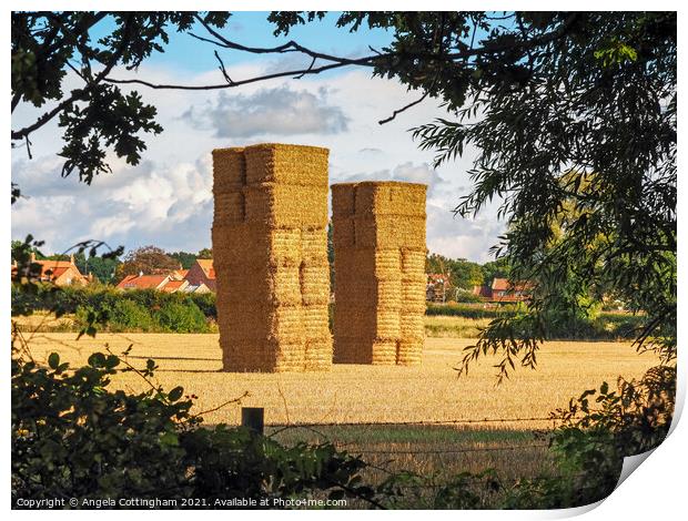 Two Tall Haystacks Print by Angela Cottingham