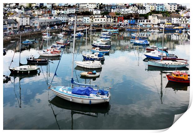 The harbour with Brixham to the rear Print by Frank Irwin