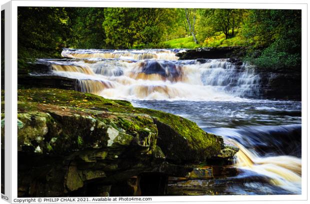 High Kidson force waterfall in the Yorkshire dales.  Canvas Print by PHILIP CHALK