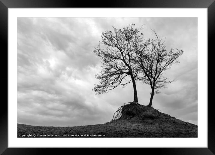 A tree in a minimalistic landscape Framed Mounted Print by Steven Dijkshoorn