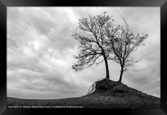 A tree in a minimalistic landscape Framed Print by Steven Dijkshoorn