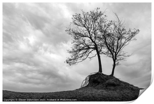 A tree in a minimalistic landscape Print by Steven Dijkshoorn