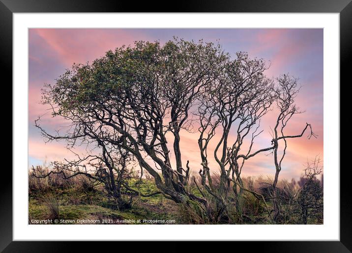 A mystical tree with a beautiful sunrise Framed Mounted Print by Steven Dijkshoorn