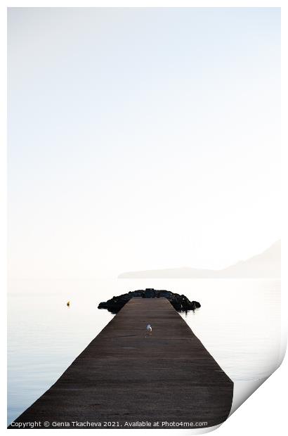 A pier and a bird Print by Genia Tkacheva