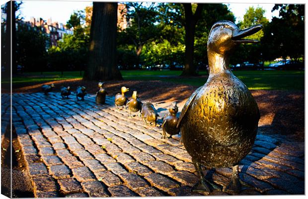 Make Way For Ducklings, Boston Common Canvas Print by Weng Tan